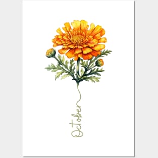 Marigold - Birth Month Flower for October Posters and Art